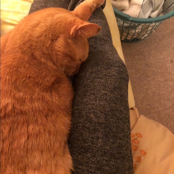 All sales go to my babyโs medical funds! New pics! - Picture 7 of 8